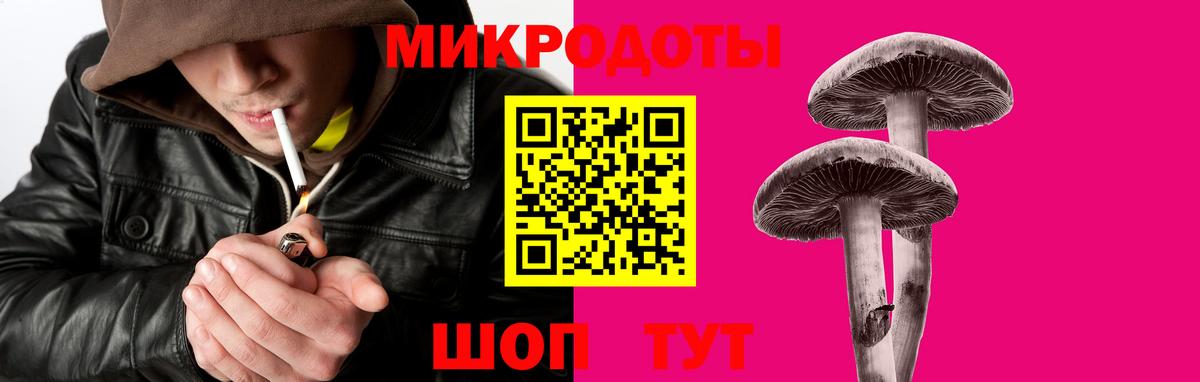 Псилоцибиновые грибы мицелий Боровичи